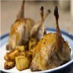 QUAIL