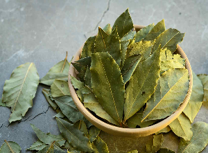 Bay Leaf