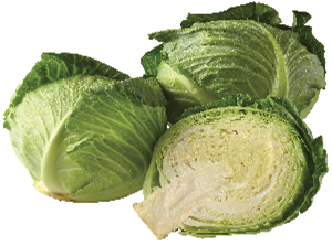 Cabbage