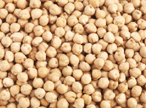 Chickpea