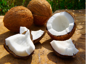 Coconut