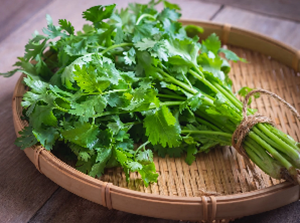 Coriander Leaf