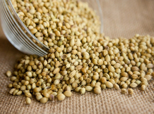 Coriander Seed