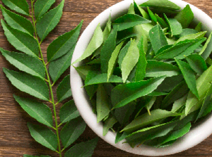 Curry Leaves