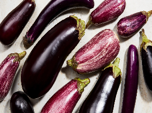 Eggplant