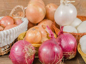 Onion