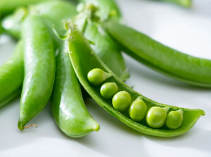 Pea